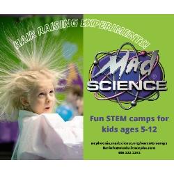 Mad Science
